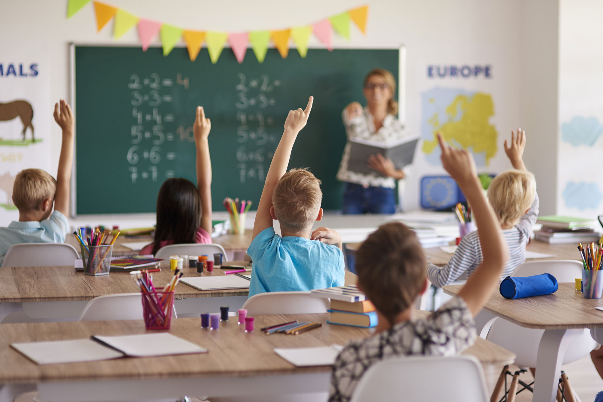 Lire la suite à propos de l’article Découvrez les cycles d’apprentissage de votre école privée Notre-Dame Saint-Roch